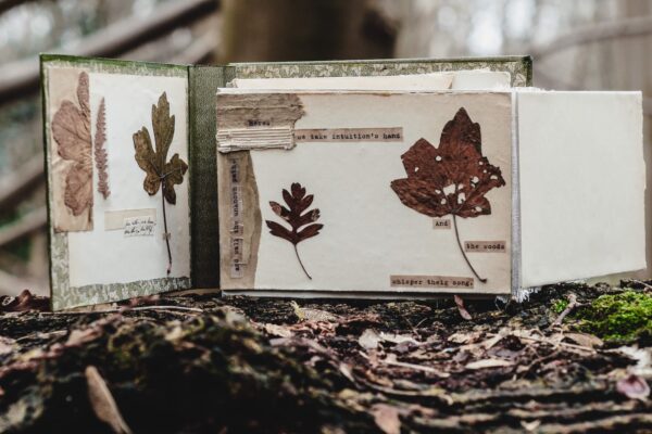 Journal page with dried leaves