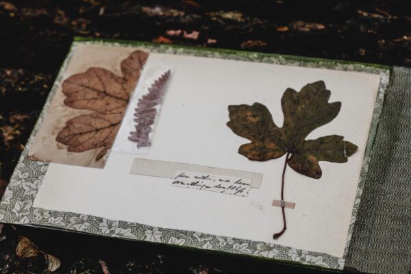 Journal page with dried leaves