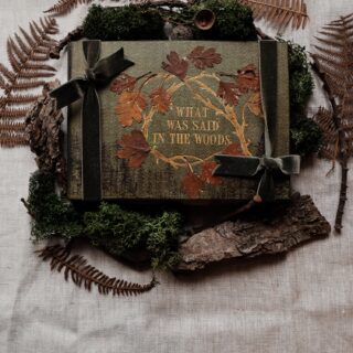 Journal cover with dried leaves on front