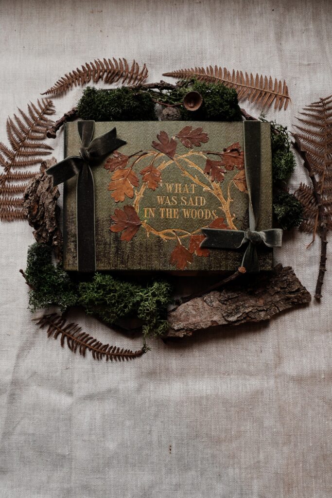 Journal cover with dried leaves on front