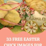 Easter Chick Images for Crafts