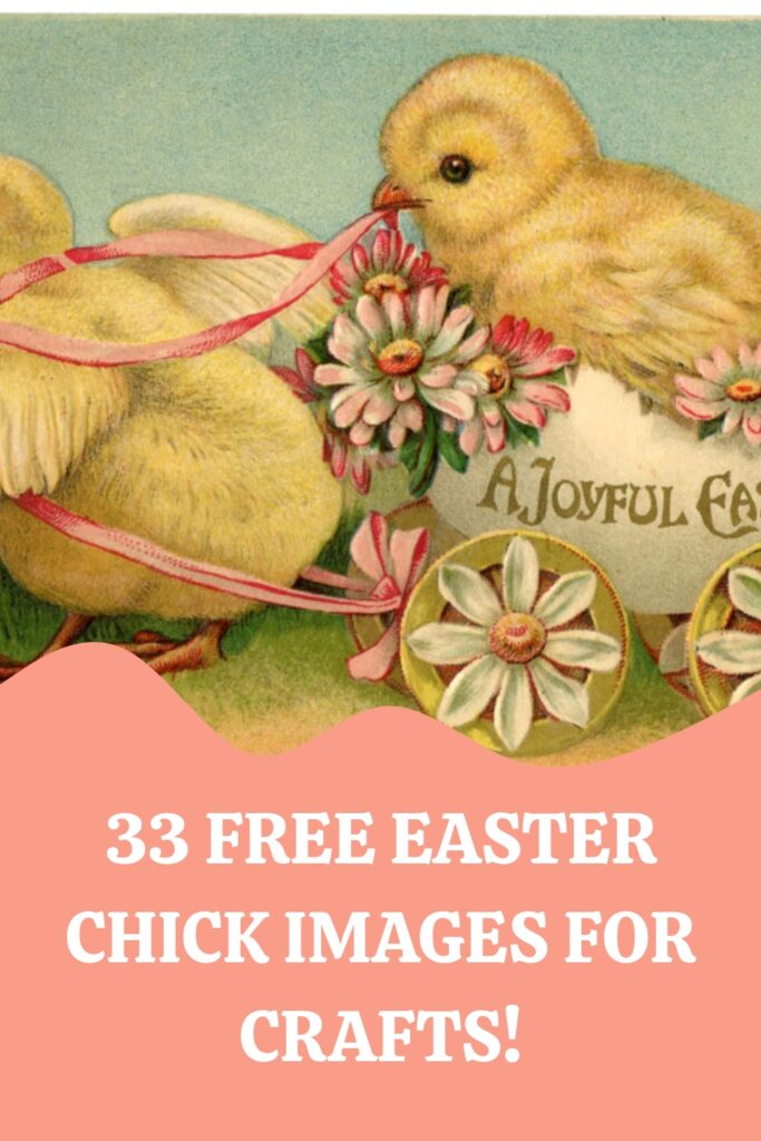 Easter Chick Images for Crafts