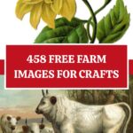 Free Farm Images for Crafts