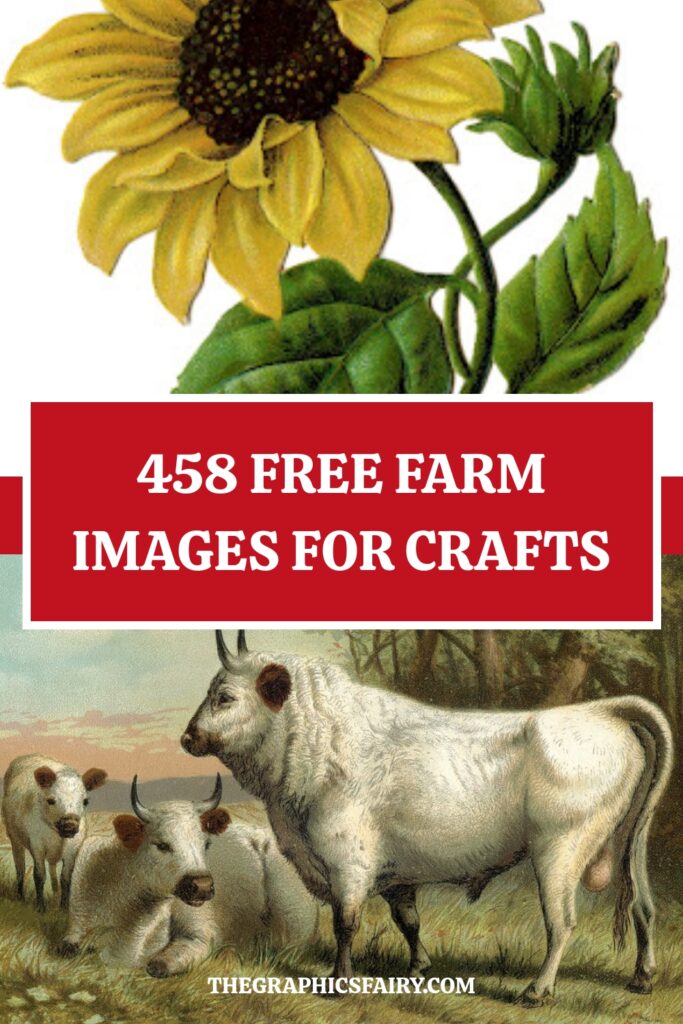 Free Farm Images for Crafts