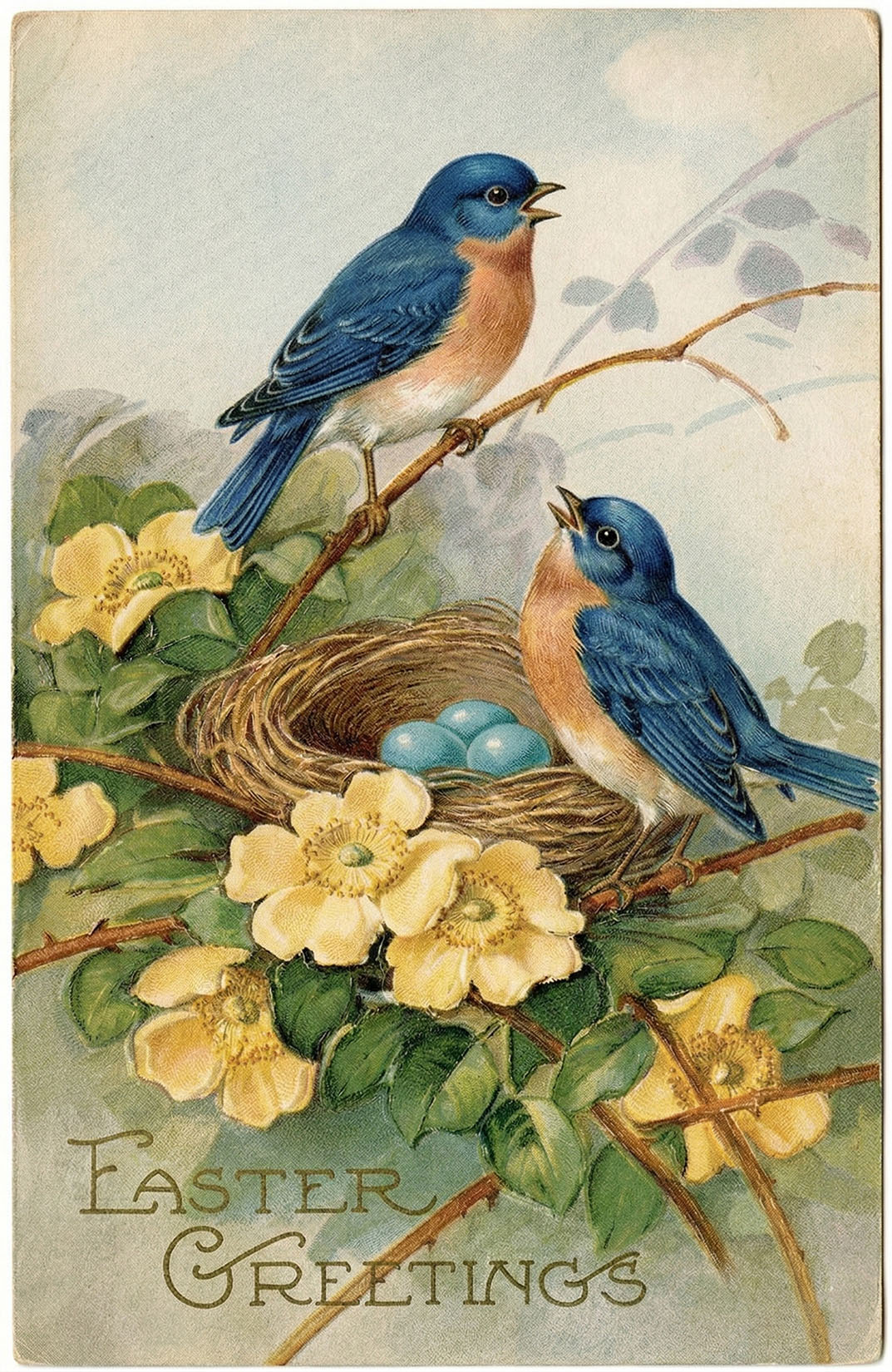 Bluebirds Easter Card