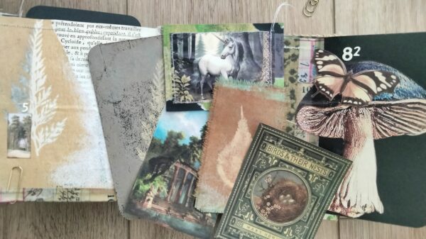 set of journal cards with woodland images