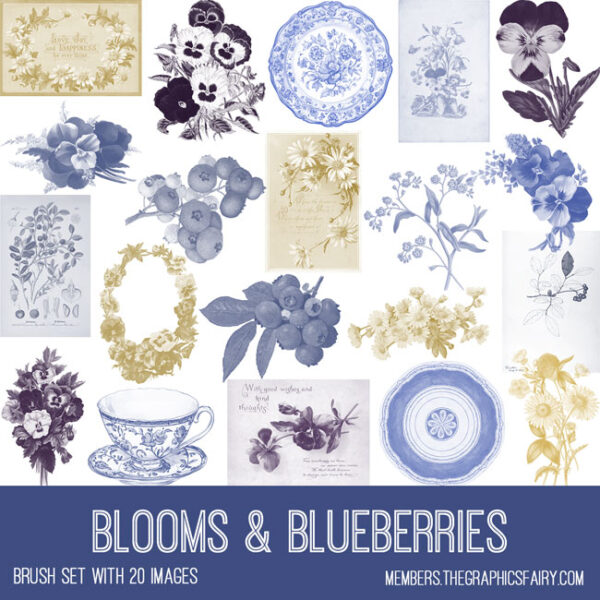 Blooms & Blueberries brushes