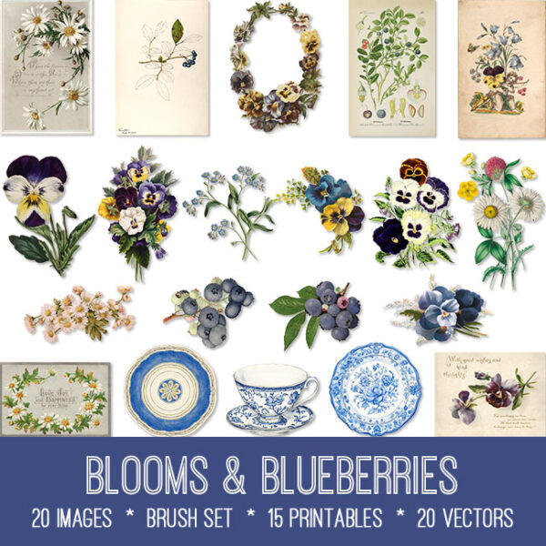 Blooms & Blueberries Bundle