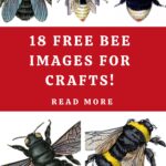 Free Bee Images for Crafts Pin