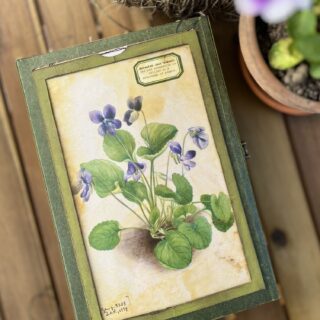 Journal cover with Violet flower print