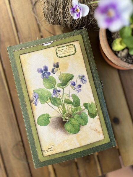 Journal cover with Violet flower print