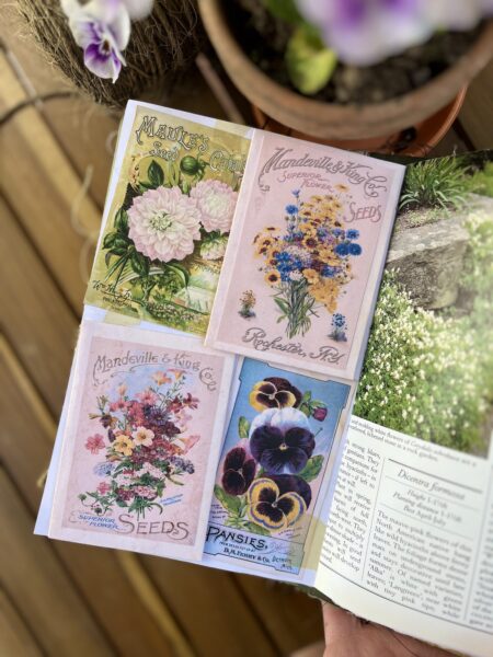 Journal page with seed packet prints