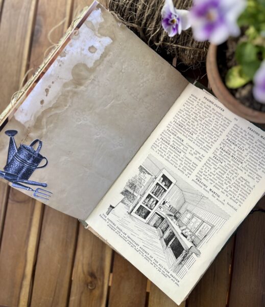 Journal page with watering can print