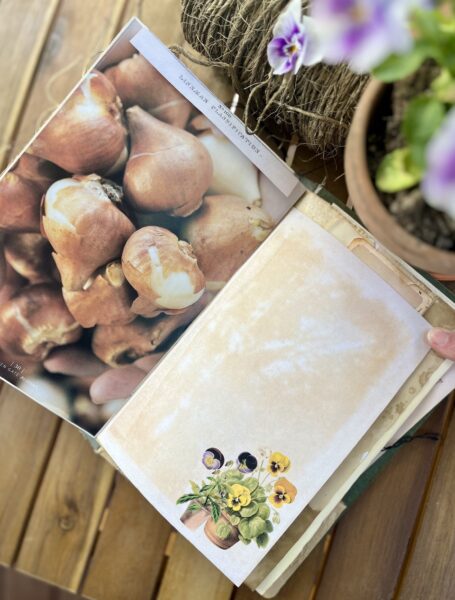 Journal page with onion print