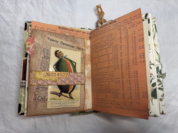 Journal spread with pink page and seed packet