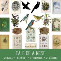 Tale of a Nest bundle