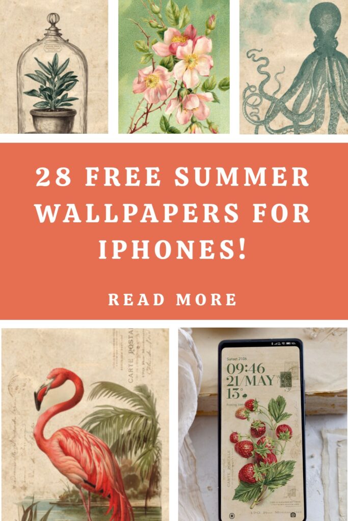 28 Free Summer Wallpapers for iPhones