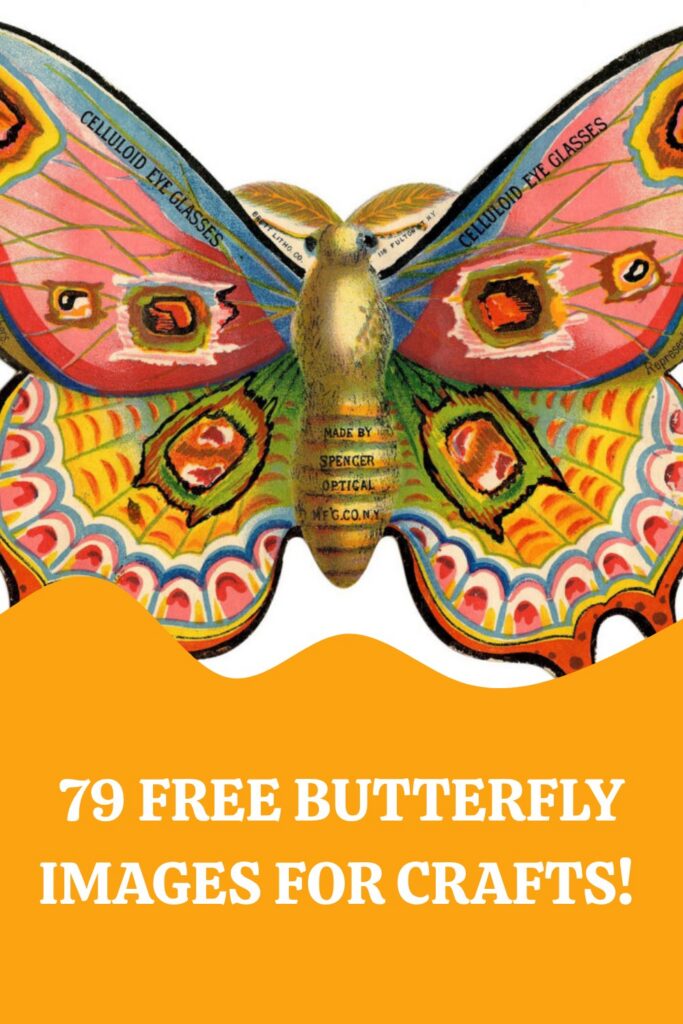 Free Butterfly Images for Crafts Pin