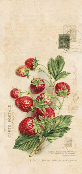 Vintage summer iphone wallpaper with vintage strawberries