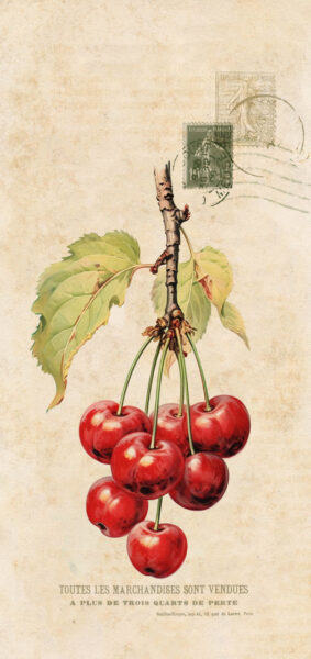 vintage summer iphone wallpaper with vintage cherries
