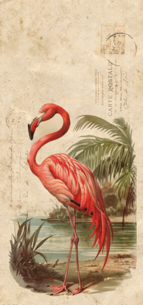 vintage summer iphone wallpaper with vintage flamingo
