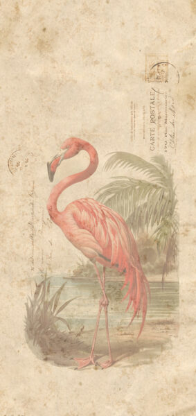 vintage summer iphone wallpaper with vintage flamingo