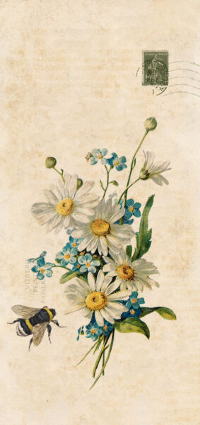 vintage summer iphone wallpaper with vintage daisies