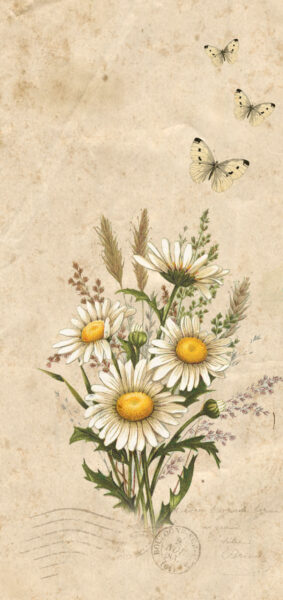 vintage summer iphone wallpaper with vintage daisiy