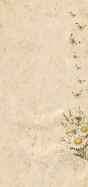 vintage summer iphone wallpaper with vintage daisiy