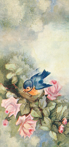 vintage summer iphone wallpaper with vintage bird and roses