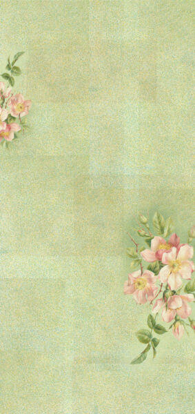 vintage summer iphone wallpaper with vintage wild roses