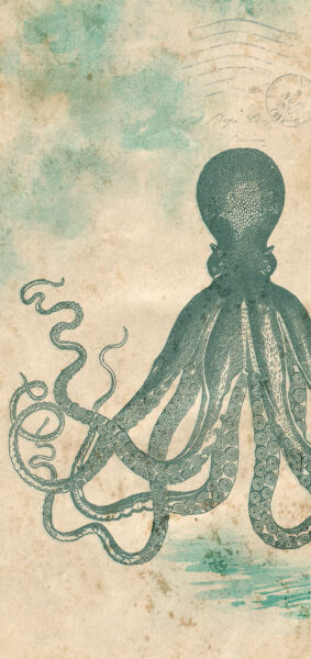 vintage summer iphone wallpaper with vintage octopus