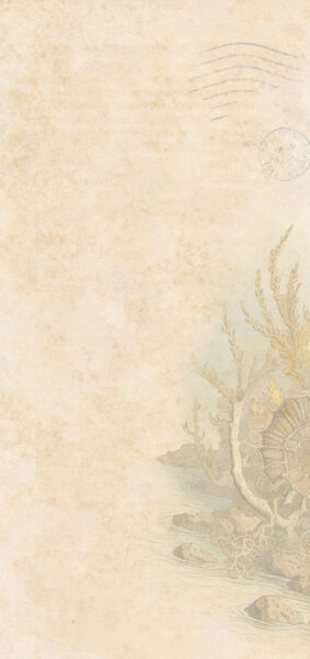 vintage summer iphone wallpaper with vintage sea horse