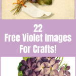 Violet Images for Crafts