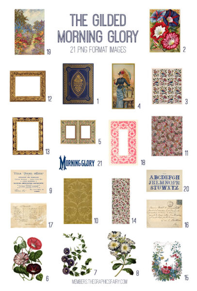 The Gilded Morning Glory image list