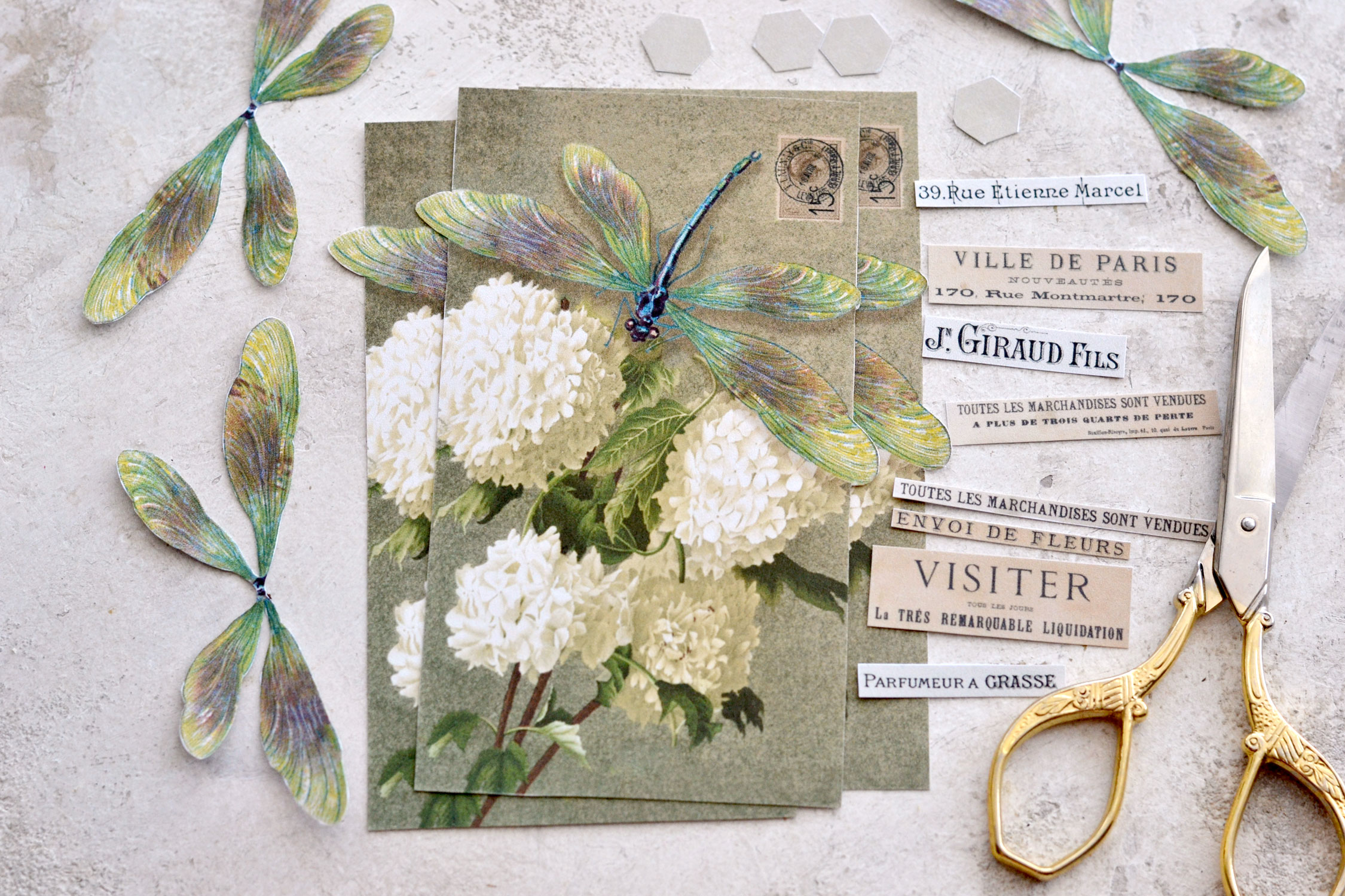 3D Dragonfly tags supplies