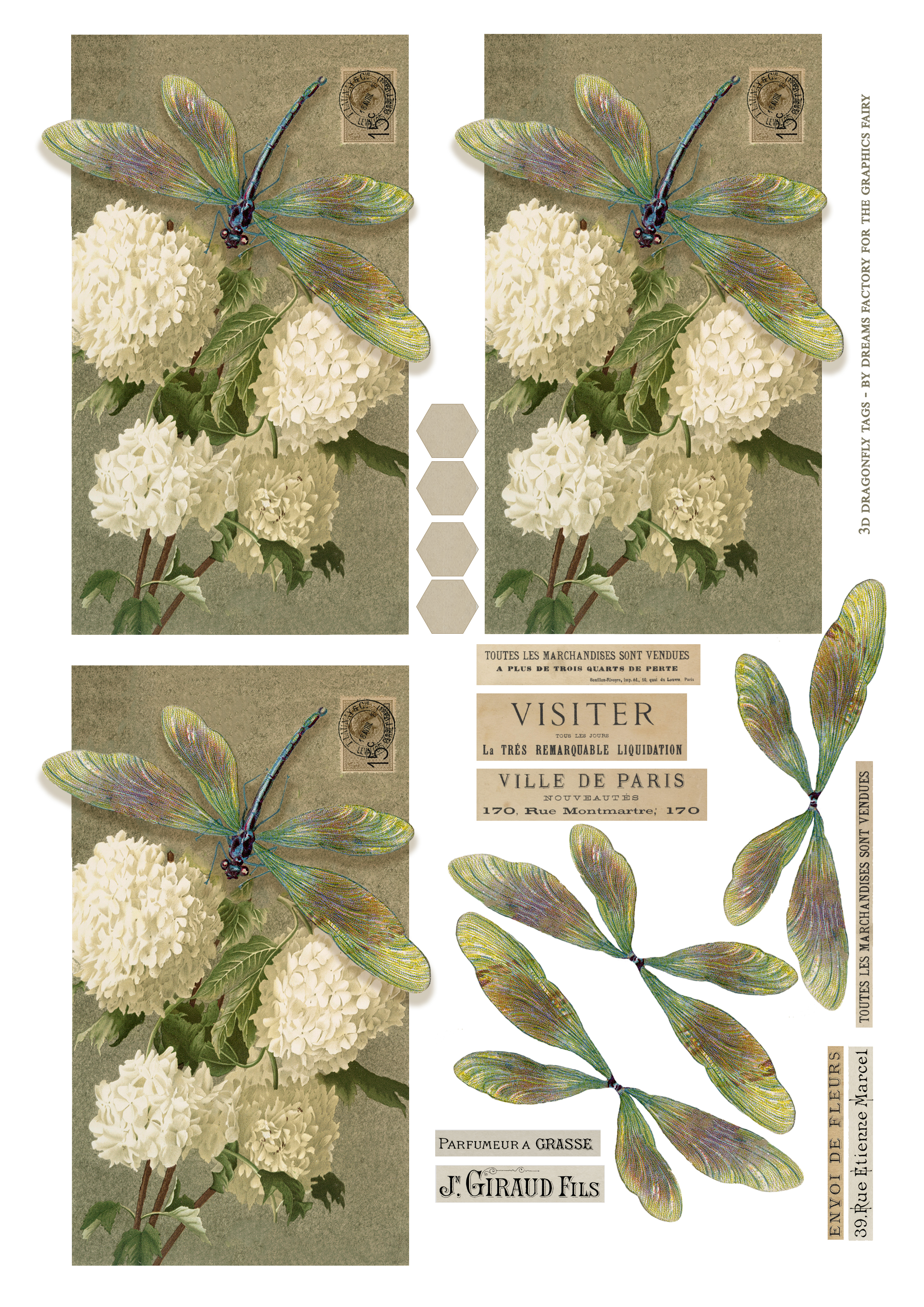 3D Dragonfly Tags printable