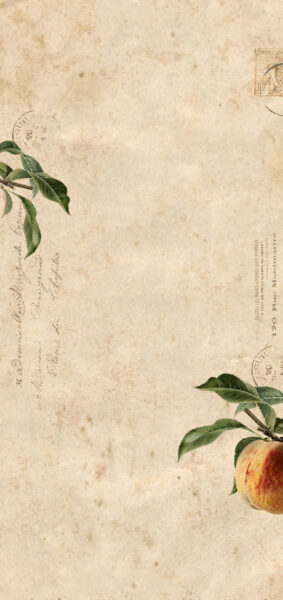 Fall Wallpapers for iPhone - vintage peaches