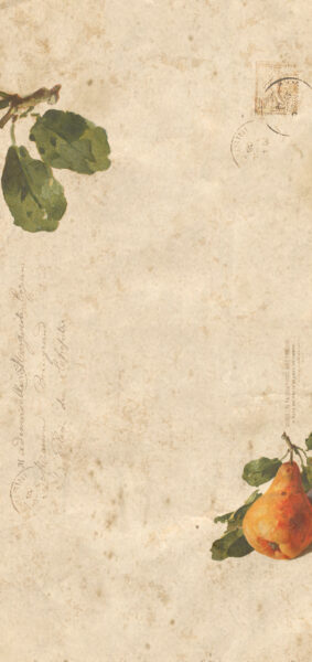 Fall Wallpapers for iPhone - vintage orange pear