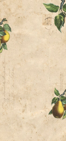 Fall Wallpapers for iPhone - vintage pears