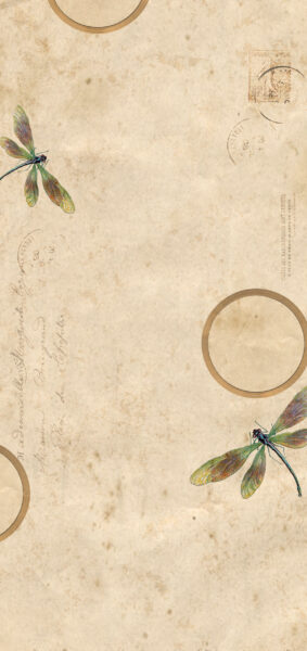 Fall Wallpapers for iPhone - vintage dragonfly
