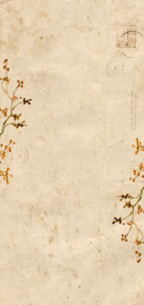 Fall Wallpapers for iPhone - vintage branches with leaves