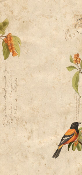 Fall Wallpapers for iPhone - vintage orange bird