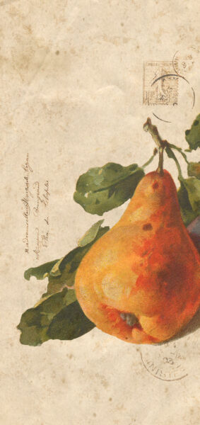Fall Wallpapers for iPhone - vintage orange pear