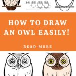 How to Draw an Owl Easy