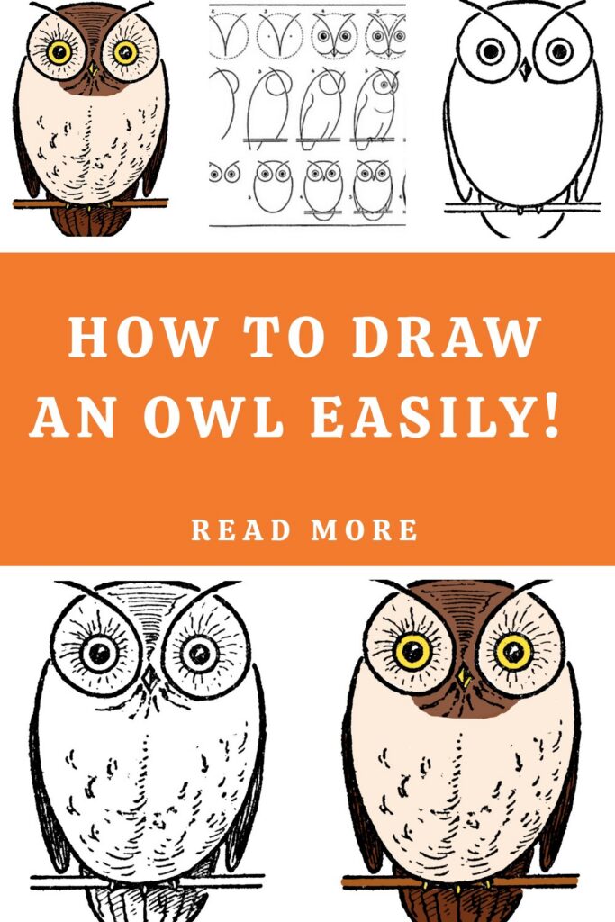 How to Draw an Owl Easy