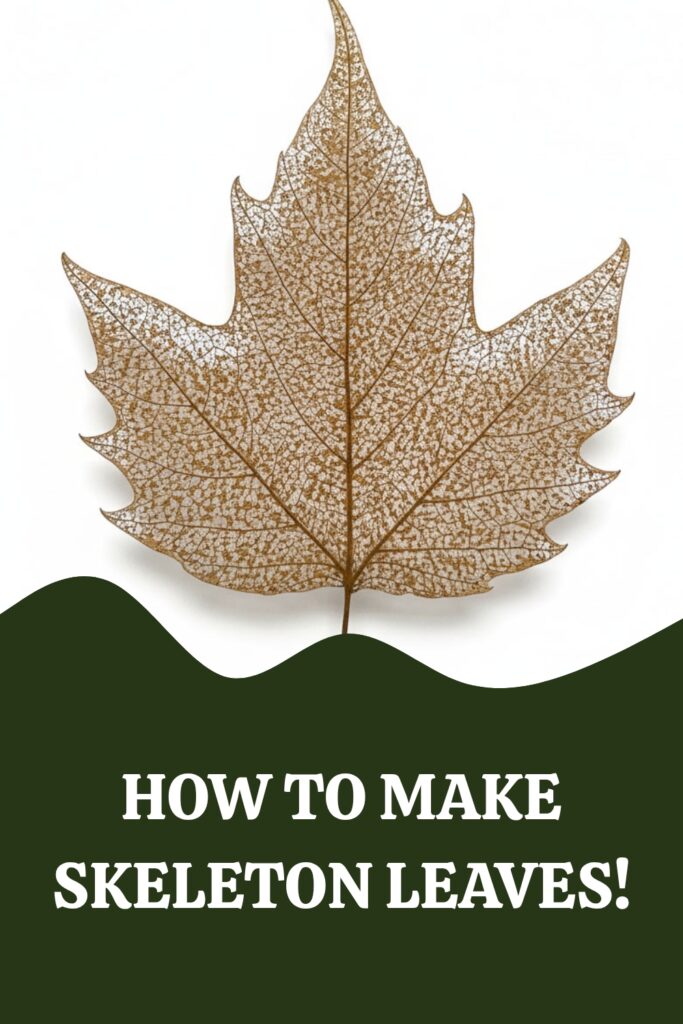 DIY Skeleton Leaves Pin