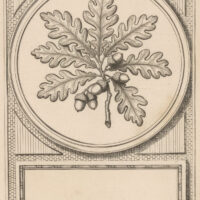 Oak Leaves Label