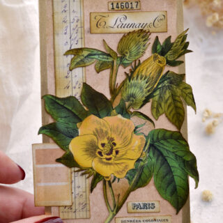 vintage botanical cotton plant tag
