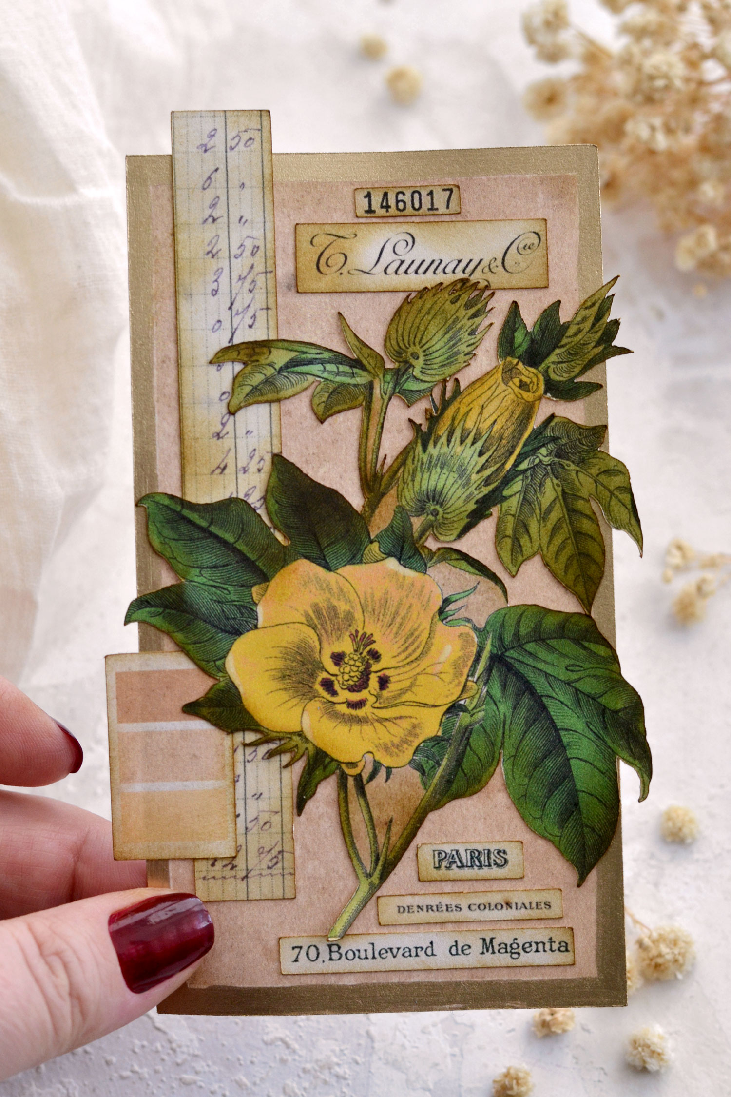 vintage botanical cotton plant tag